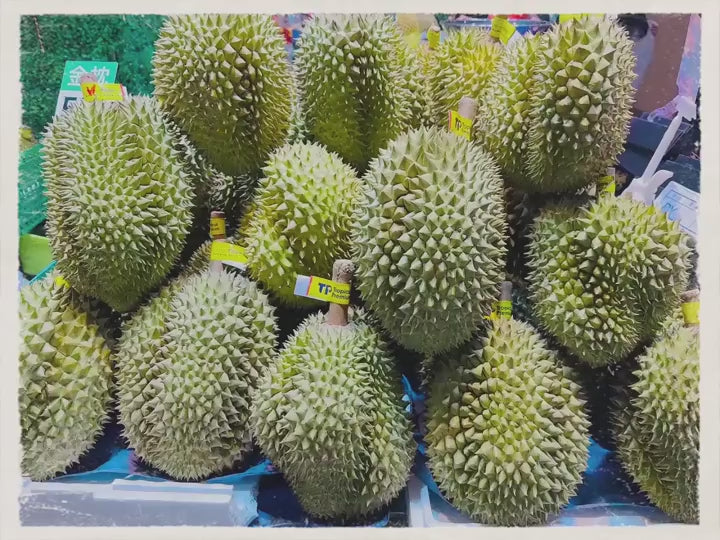 泰國直送 TP金枕頭榴槤 (5-6裝)(原箱)